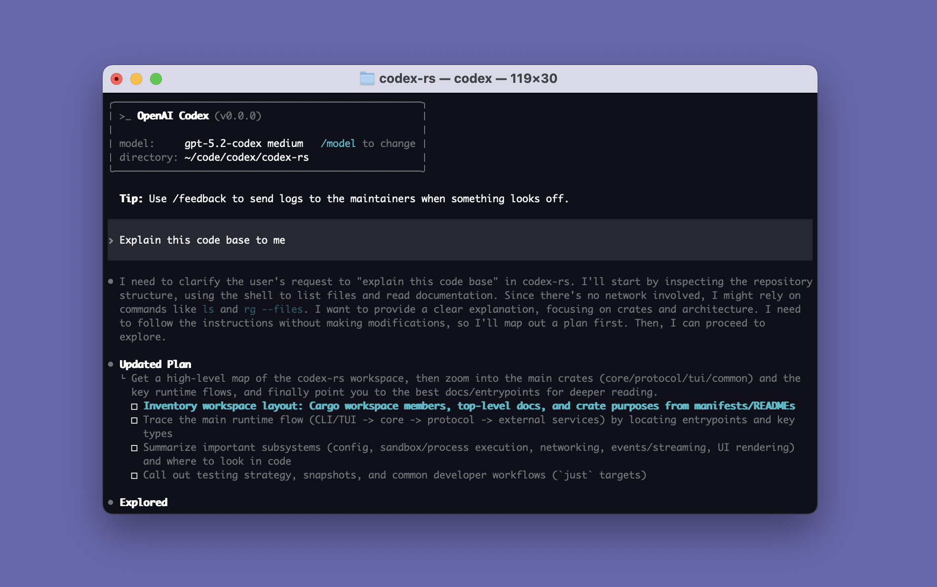 OpenAI 官方 Codex CLI 界面示意，展示终端中的 Codex 编程工作区
